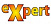 Expert